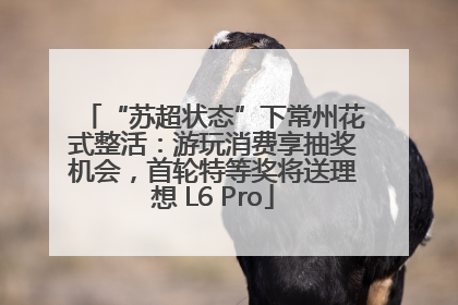 “苏超状态”下常州花式整活：游玩消费享抽奖机会，首轮特等奖将送理想 L6 Pro