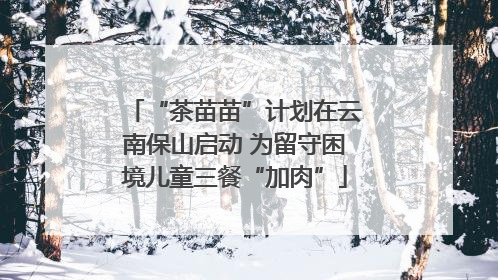 “茶苗苗”计划在云南保山启动 为留守困境儿童三餐“加肉”