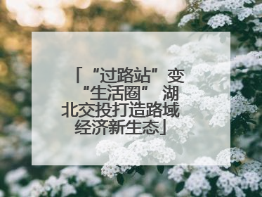 “过路站”变“生活圈” 湖北交投打造路域经济新生态