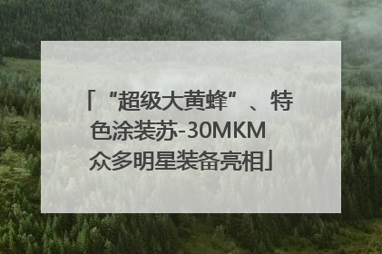 “超级大黄蜂”、特色涂装苏-30MKM 众多明星装备亮相