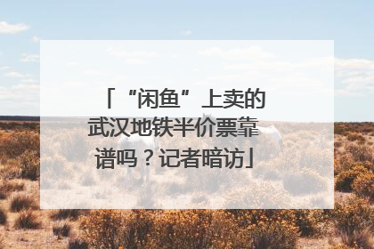 “闲鱼”上卖的武汉地铁半价票靠谱吗？记者暗访