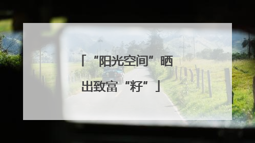 “阳光空间”晒出致富“籽”
