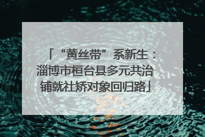 “黄丝带”系新生：淄博市桓台县多元共治铺就社矫对象回归路