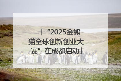 “2025金熊猫全球创新创业大赛”在成都启动