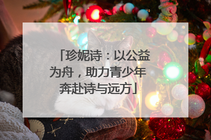 珍妮诗：以公益为舟，助力青少年奔赴诗与远方