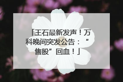 王石最新发声！万科晚间突发公告：“售股”回血！