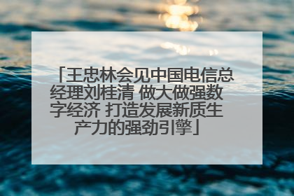 王忠林会见中国电信总经理刘桂清 做大做强数字经济 打造发展新质生产力的强劲引擎