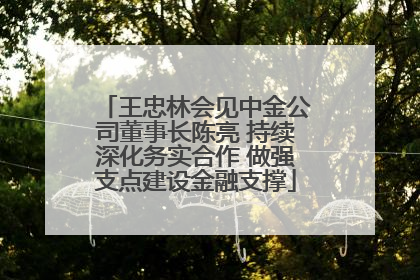 王忠林会见中金公司董事长陈亮 持续深化务实合作 做强支点建设金融支撑