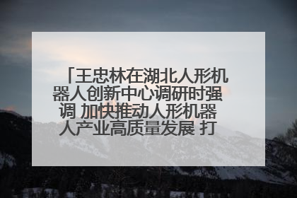 王忠林在湖北人形机器人创新中心调研时强调 加快推动人形机器人产业高质量发展 打造具有全国影响力的研发创新基地