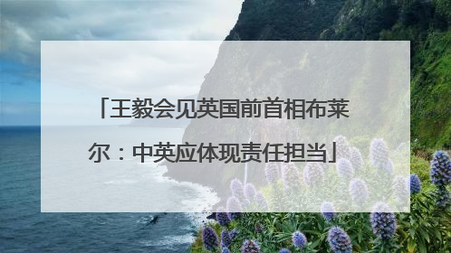 王毅会见英国前首相布莱尔：中英应体现责任担当