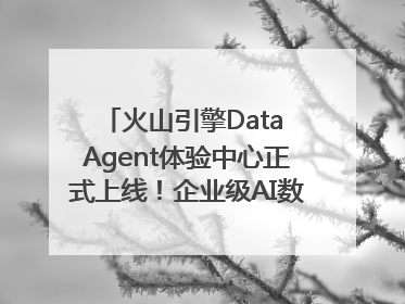 火山引擎Data Agent体验中心正式上线！企业级AI数据专家触手可及