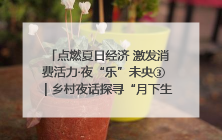 点燃夏日经济 激发消费活力·夜“乐”未央③｜乡村夜话探寻“月下生金”的“共富密码”