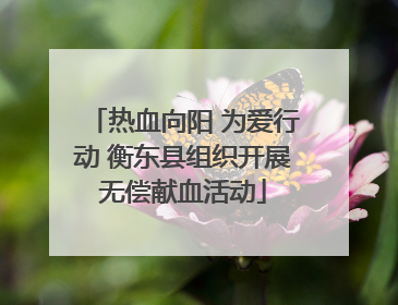 热血向阳 为爱行动 衡东县组织开展无偿献血活动