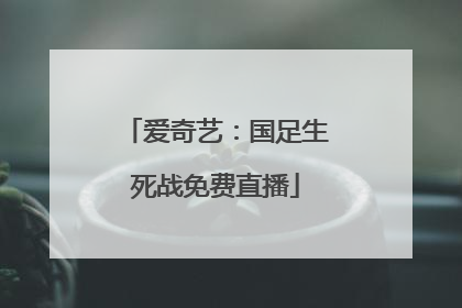 爱奇艺：国足生死战免费直播