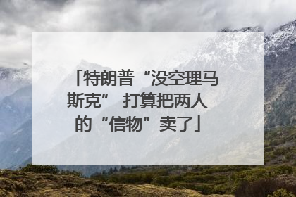特朗普“没空理马斯克” 打算把两人的“信物”卖了
