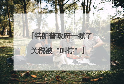特朗普政府一揽子关税被“叫停”