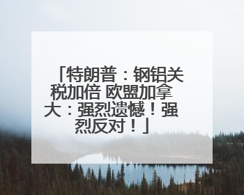 特朗普：钢铝关税加倍 欧盟加拿大：强烈遗憾！强烈反对！