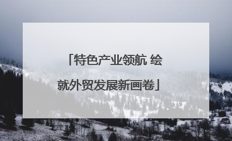 特色产业领航 绘就外贸发展新画卷