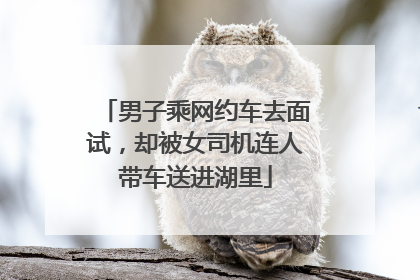 男子乘网约车去面试，却被女司机连人带车送进湖里