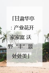 甘肃华亭：产业花开家家富 沃野“丰”景处处美