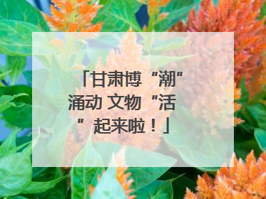 甘肃博“潮”涌动 文物“活”起来啦！