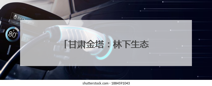 甘肃金塔：林下生态养鸡踏出致富新道