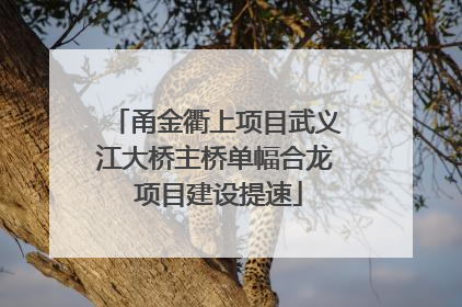 甬金衢上项目武义江大桥主桥单幅合龙 项目建设提速