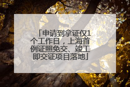 申请到拿证仅1个工作日，上海首例证照免交、竣工即交证项目落地