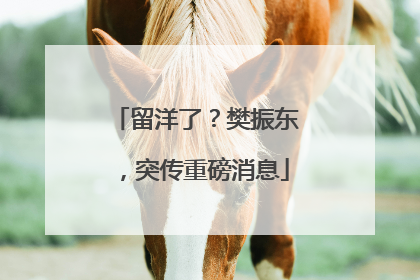 留洋了？樊振东，突传重磅消息