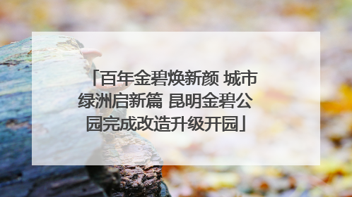 百年金碧焕新颜 城市绿洲启新篇 昆明金碧公园完成改造升级开园