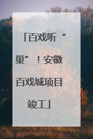 百戏听“巢”！安徽百戏城项目竣工