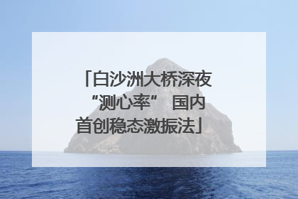 白沙洲大桥深夜“测心率” 国内首创稳态激振法