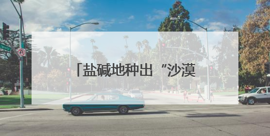 盐碱地种出“沙漠人参” 潍坊滨海解锁生态致富密码