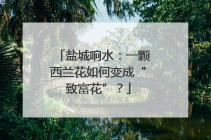 盐城响水：一颗西兰花如何变成“致富花”？