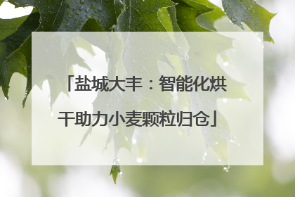 盐城大丰：智能化烘干助力小麦颗粒归仓