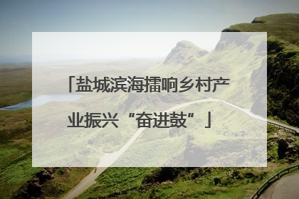 盐城滨海擂响乡村产业振兴“奋进鼓”