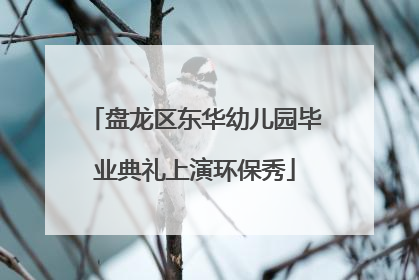 盘龙区东华幼儿园毕业典礼上演环保秀