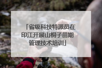 省级科技特派员在印江开展山桐子苗期管理技术培训