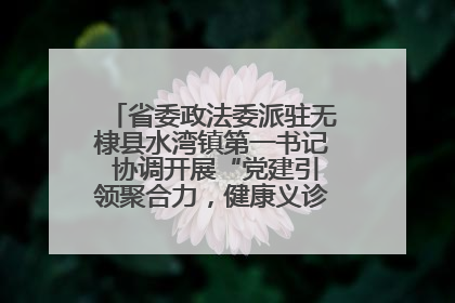 省委政法委派驻无棣县水湾镇第一书记 协调开展“党建引领聚合力，健康义诊惠乡亲”义诊活动