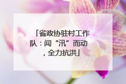 省政协驻村工作队：闻“汛”而动，全力抗洪