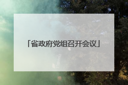 省政府党组召开会议