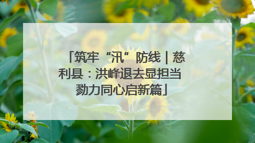 筑牢“汛”防线｜慈利县：洪峰退去显担当 勠力同心启新篇
