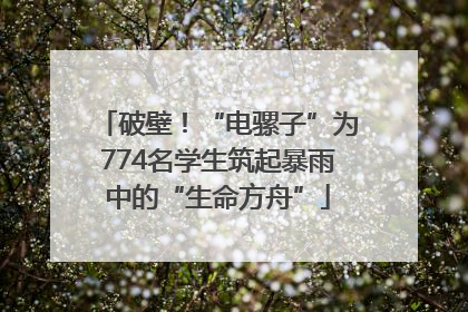 破壁！“电骡子”为774名学生筑起暴雨中的“生命方舟”