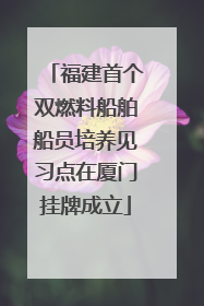 福建首个双燃料船舶船员培养见习点在厦门挂牌成立