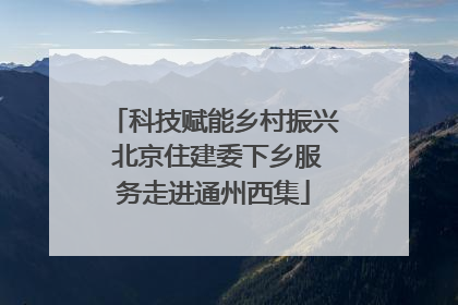 科技赋能乡村振兴 北京住建委下乡服务走进通州西集