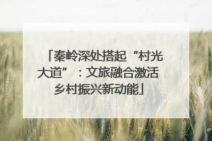 秦岭深处搭起“村光大道”：文旅融合激活乡村振兴新动能