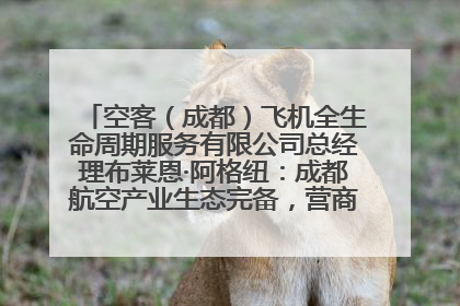 空客（成都）飞机全生命周期服务有限公司总经理布莱恩·阿格纽：成都航空产业生态完备，营商环境优势显著