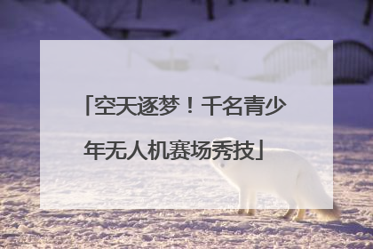 空天逐梦！千名青少年无人机赛场秀技
