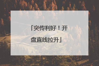 突传利好！开盘直线拉升