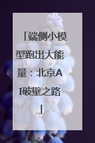 端侧小模型跑出大能量：北京AI破壁之路